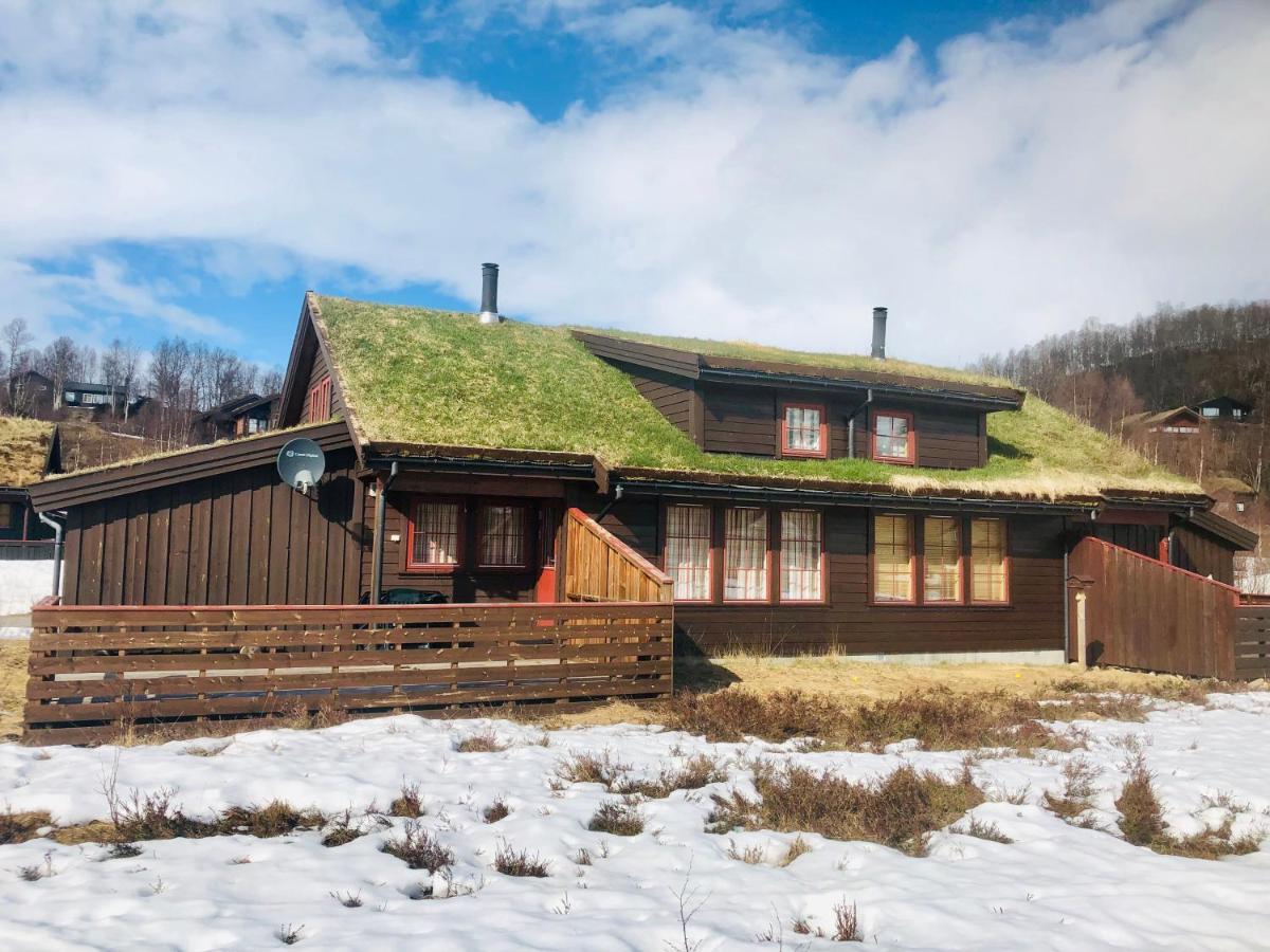 Four-Bedroom Cottage In Sirdal Tjorhom מראה חיצוני תמונה